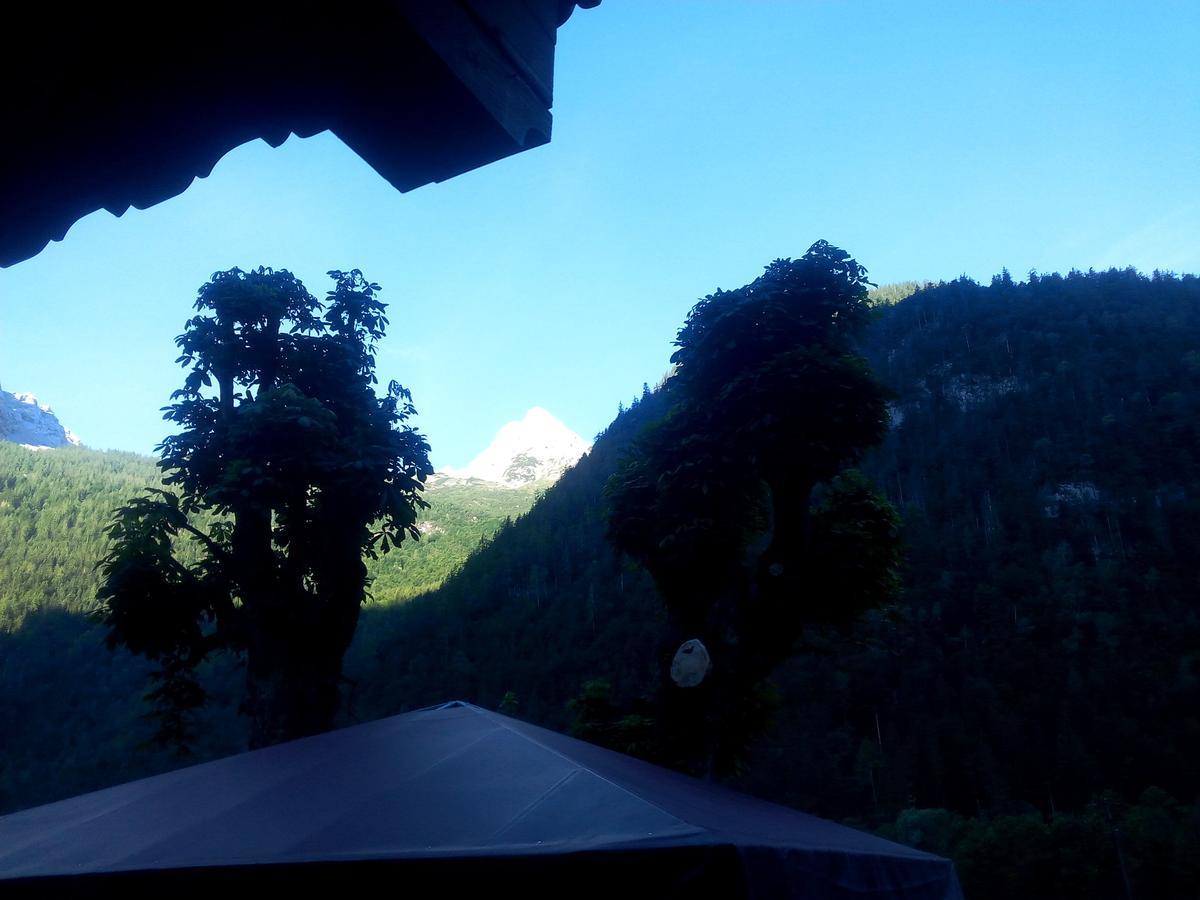 Gasthof-Pension Frohnwies Weissbach bei Lofer Esterno foto