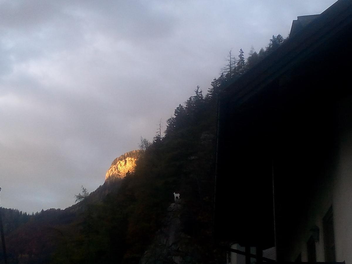 Gasthof-Pension Frohnwies Weissbach bei Lofer Esterno foto
